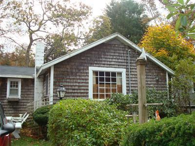 a view of a house with a yard plants and large tree