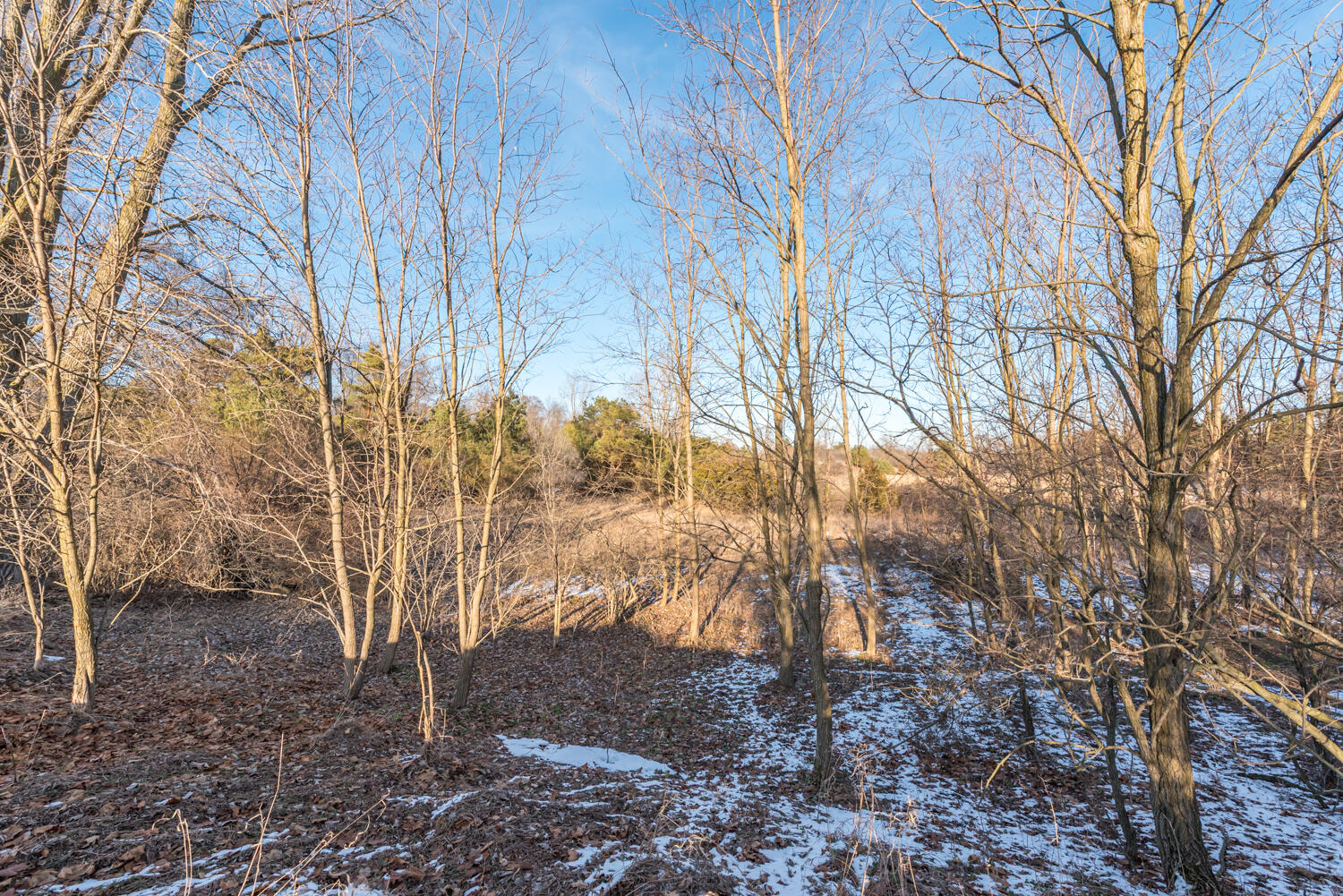 19820 Ivey Road Chelsea, MI 48118 - Photo 36 of 47 _D755595_MLS