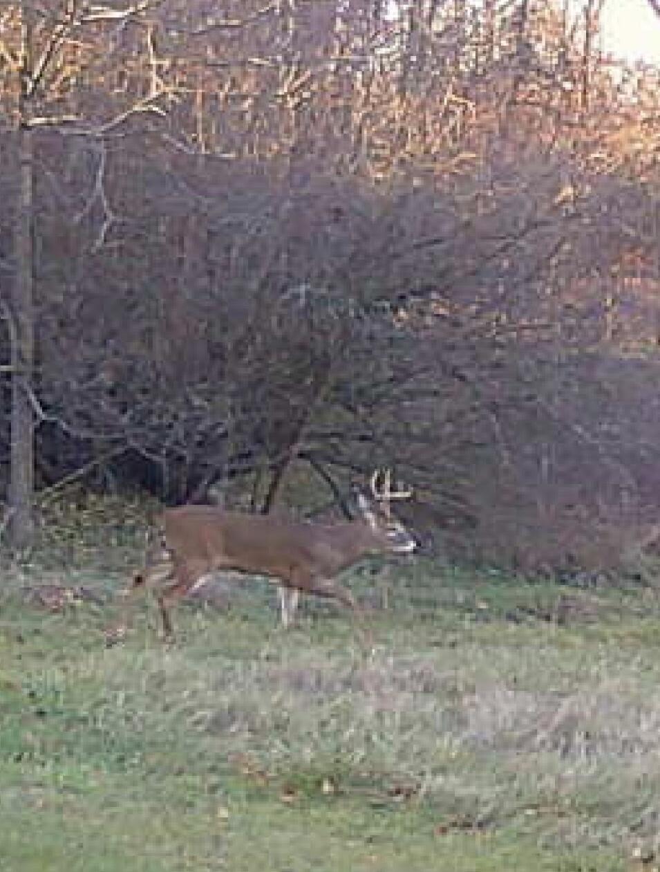 19820 Ivey Road Chelsea, MI 48118 - Photo 39 of 47 1714558260864363507 (002)