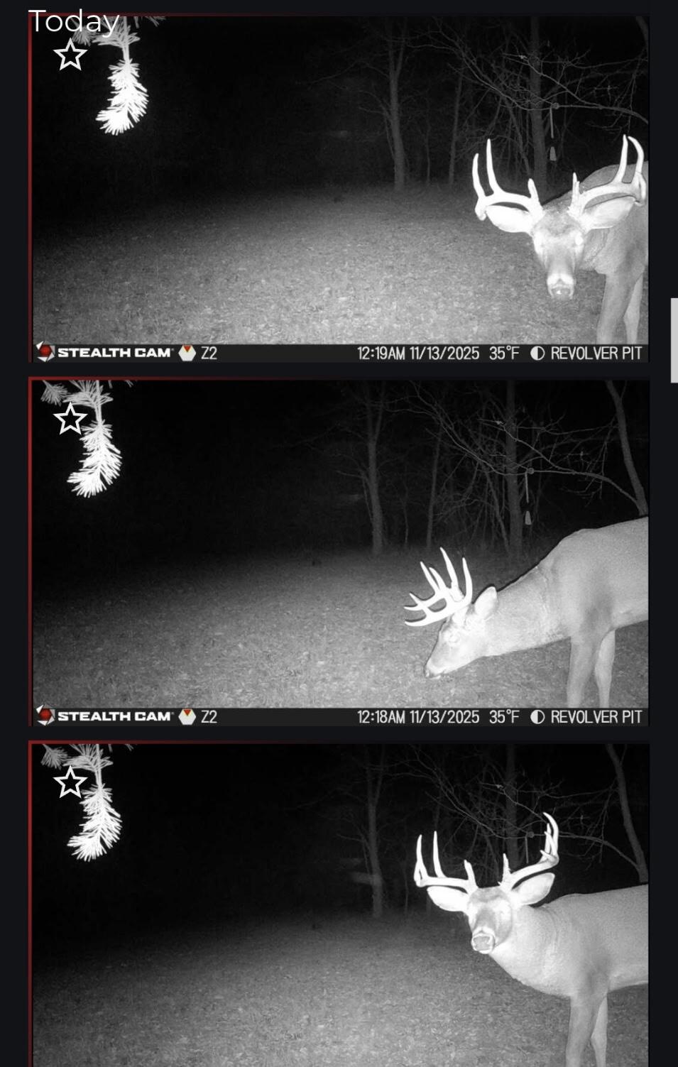 19820 Ivey Road Chelsea, MI 48118 - Photo 41 of 47 2807598361033566079 (002)