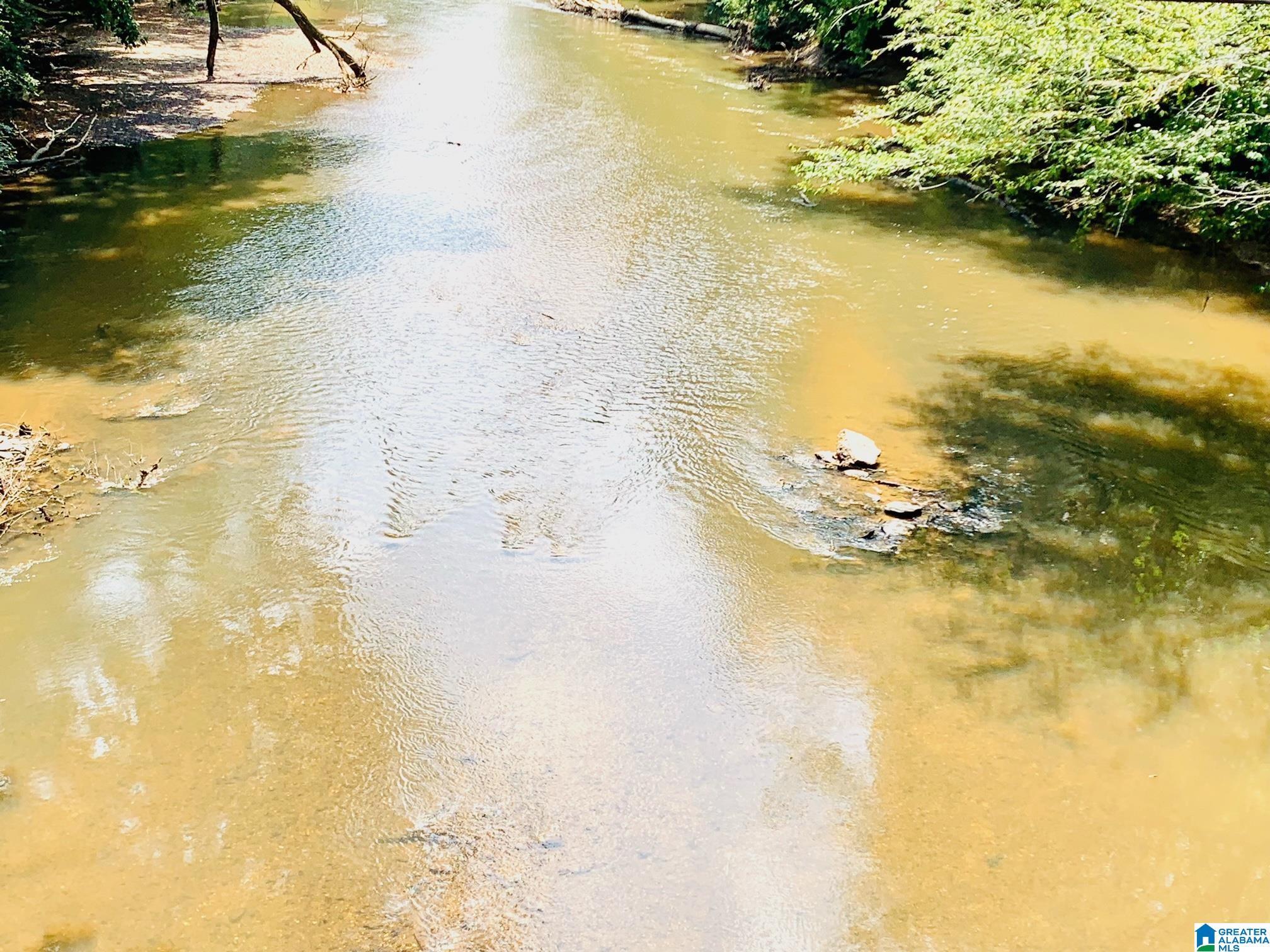 516 County Road 482 Heflin, AL 36264 - Photo 10 of 39