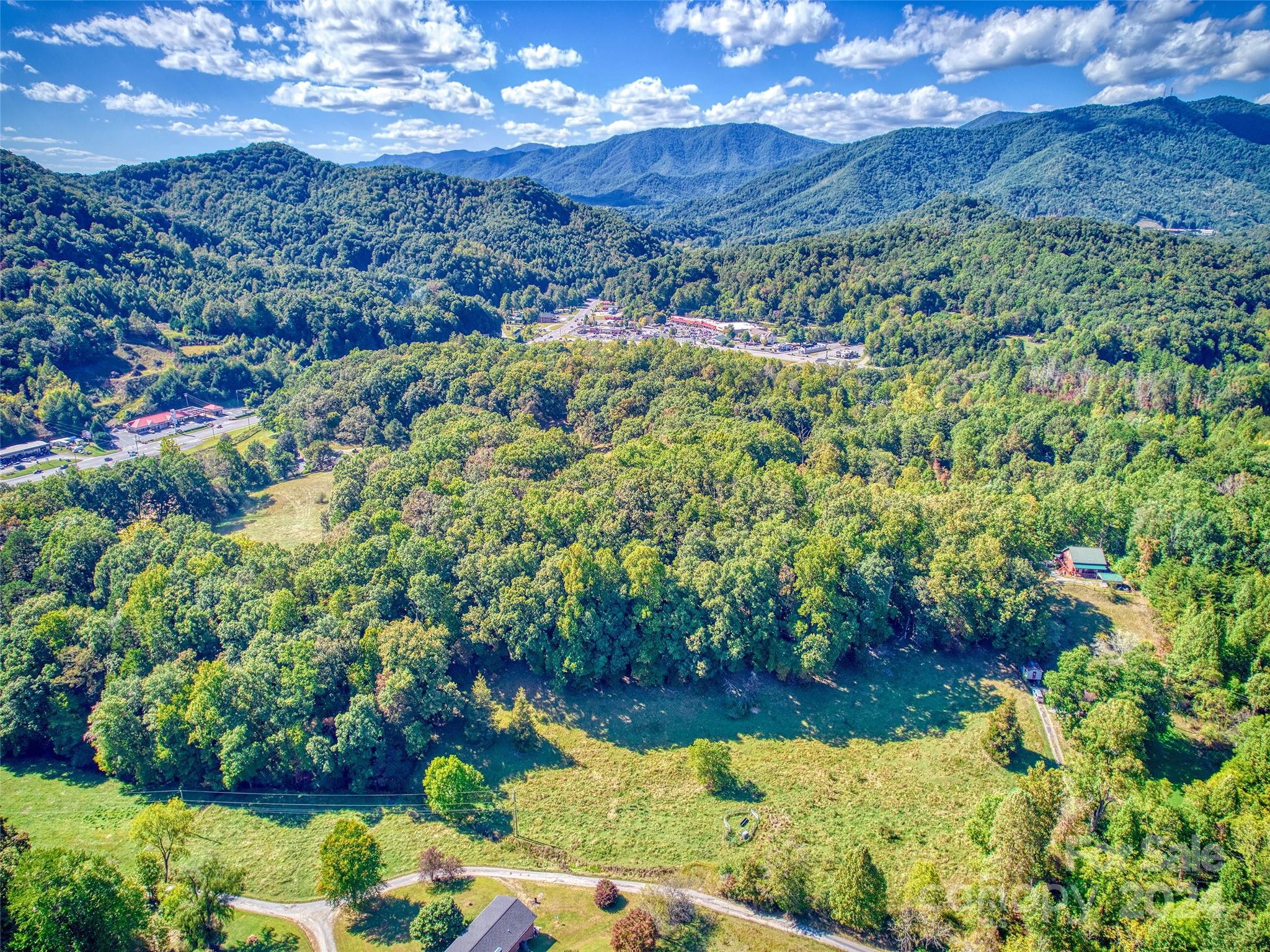0 Sheeprock Cv Road Whittier, NC 28789 - Photo 1 of 14 a view of a bunch of flowers and a yard