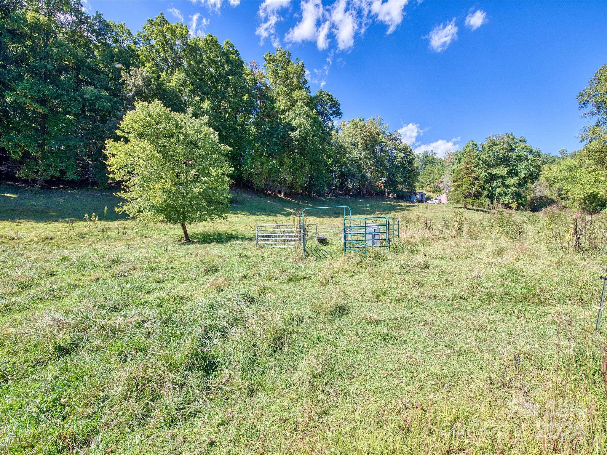 0 Sheeprock Cv Road Whittier, NC 28789 - Photo 14 of 14 a view of a yard with a tree