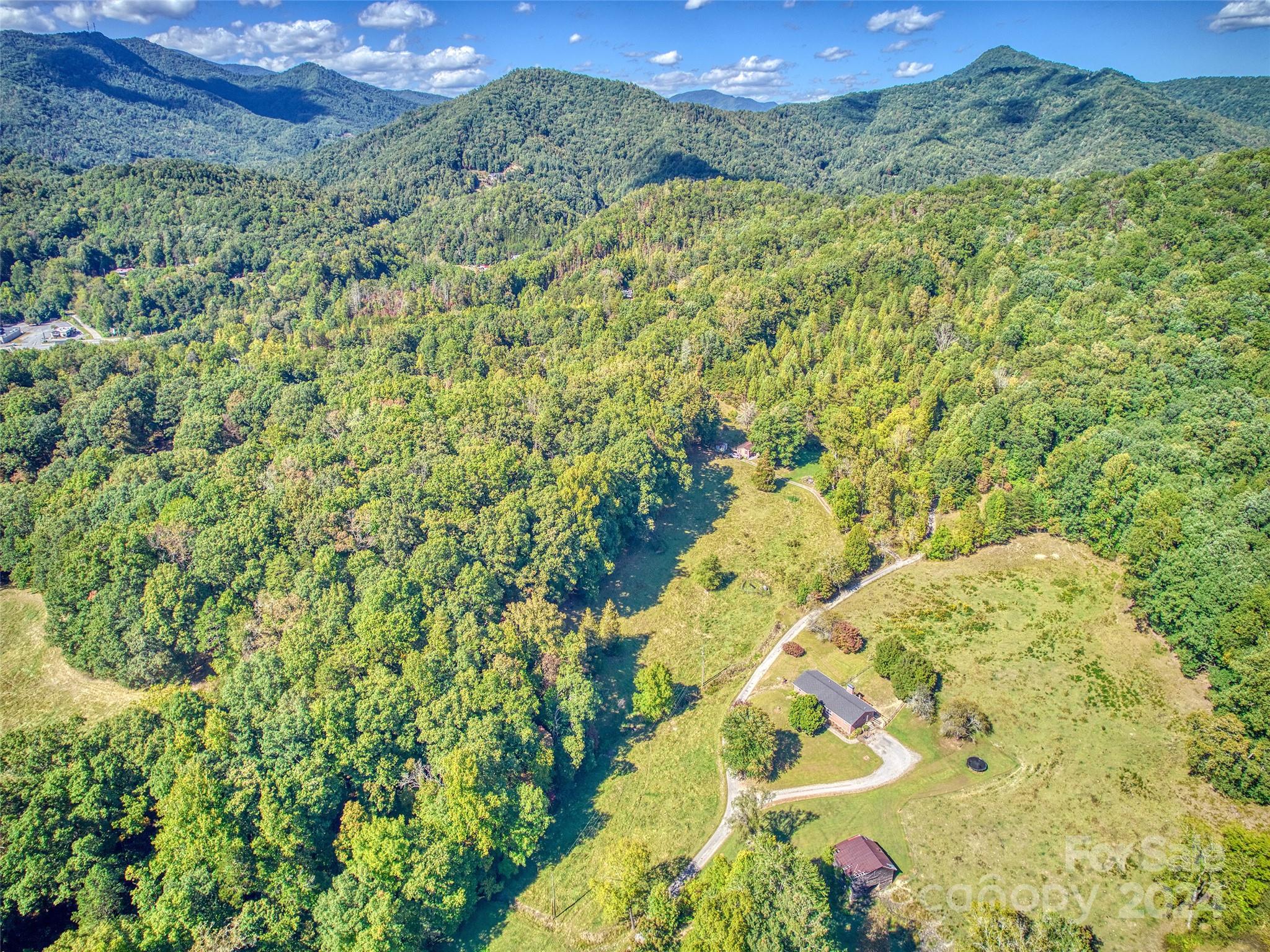 0 Sheeprock Cv Road Whittier, NC 28789 - Photo 2 of 14 a view of a lush green forest with lots of trees