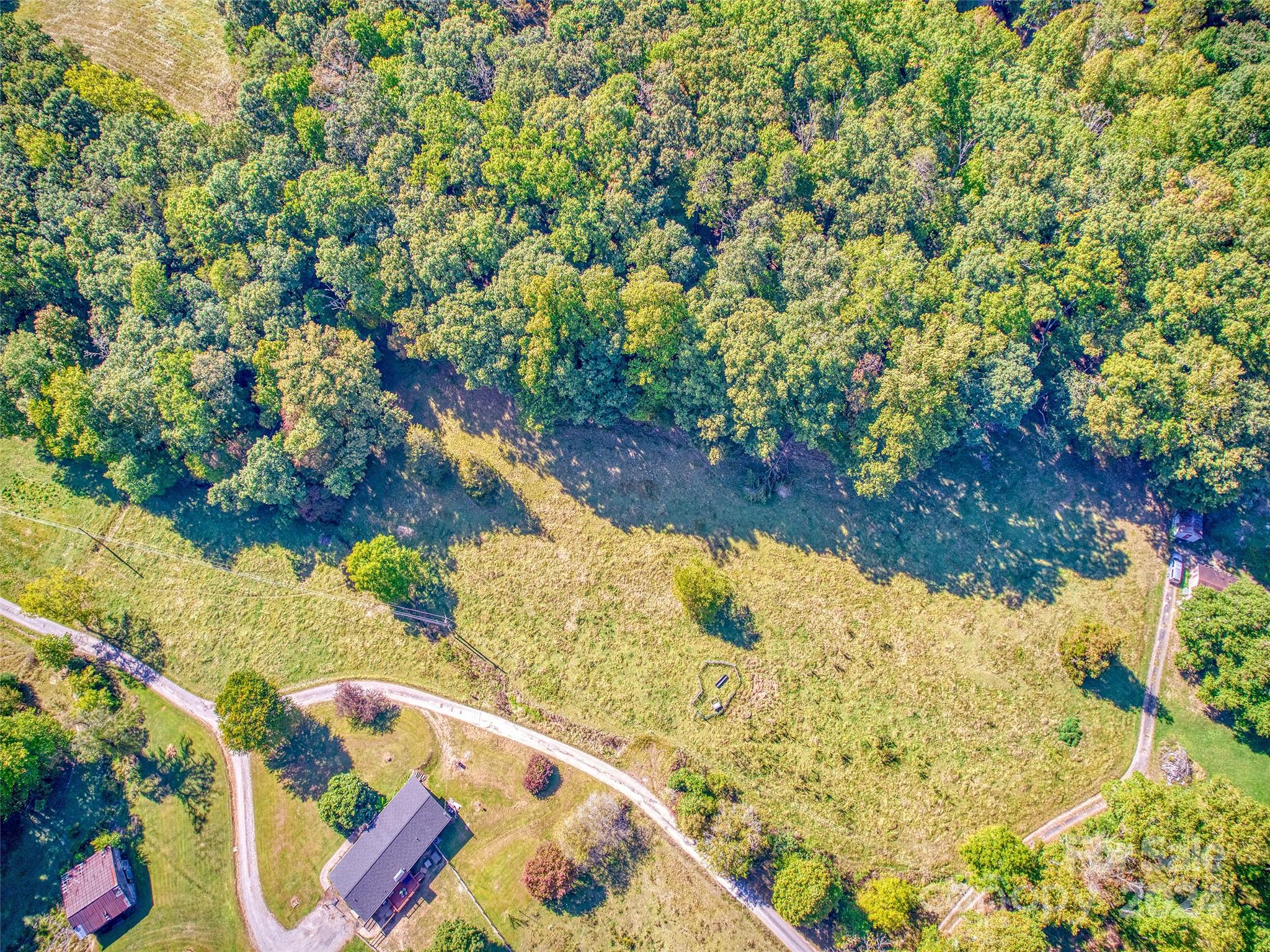 0 Sheeprock Cv Road Whittier, NC 28789 - Photo 7 of 14 a view of a yard with plants