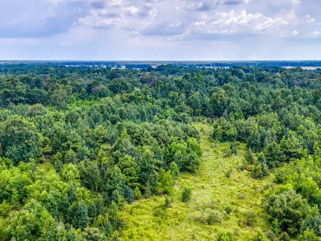 a view of a large yard with a house in the background