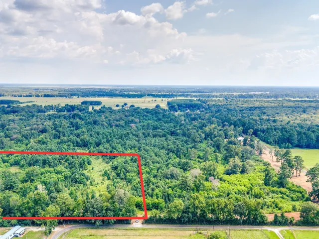 a view of a flower in a garden