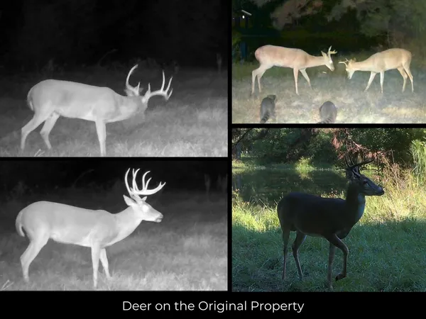 $217,997 | 1626 County Road 2060, Hull, TX 77564