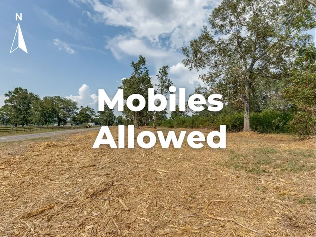 a view of a yard with an outdoor space