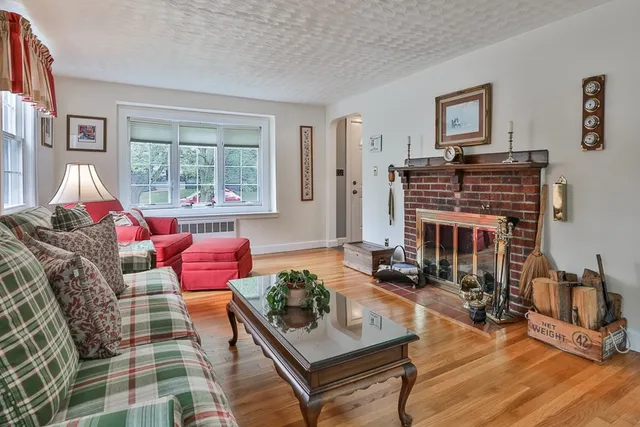 a living room with furniture windows and a fireplace