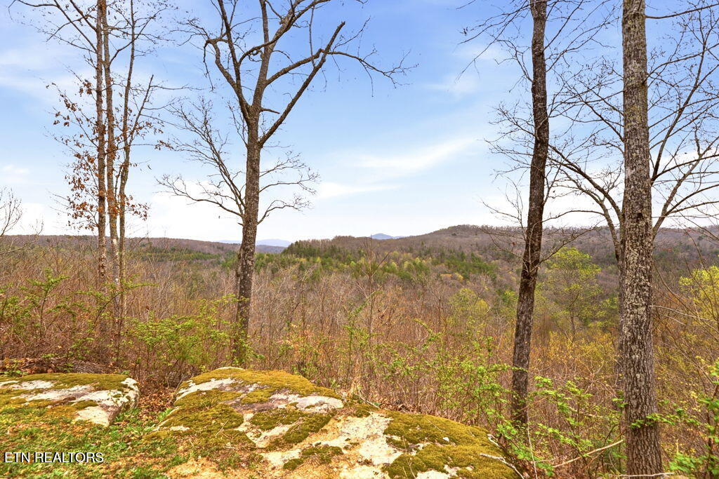 1159 Emory Heights Road Lancing, TN 37770 - Photo 36 of 59 view of gorge