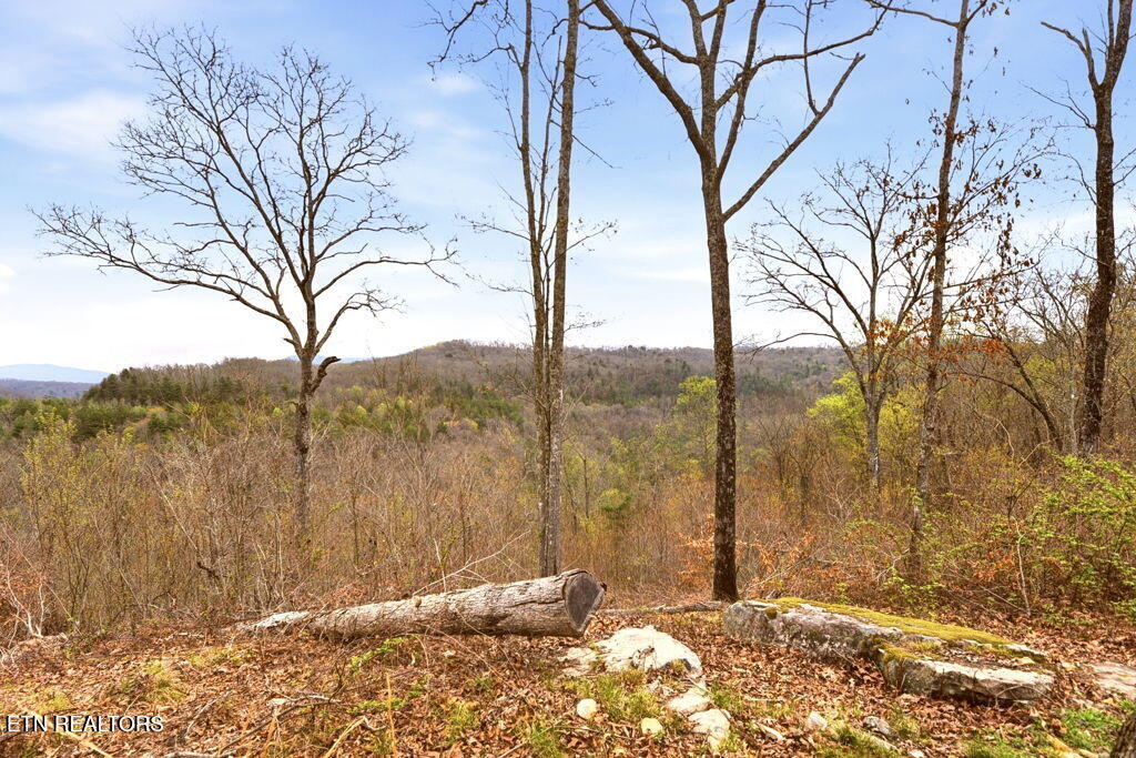 1159 Emory Heights Road Lancing, TN 37770 - Photo 37 of 59 view