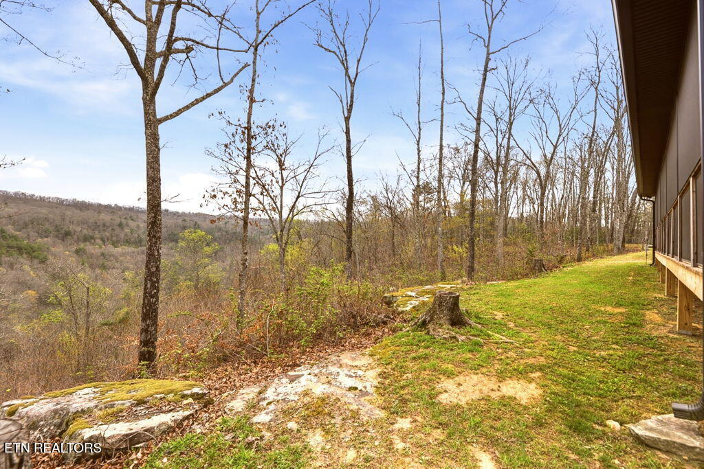 1159 Emory Heights Road Lancing, TN 37770 - Photo 38 of 59 view