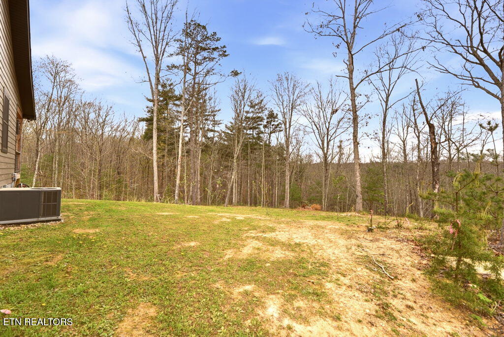 1159 Emory Heights Road Lancing, TN 37770 - Photo 39 of 59 side yard