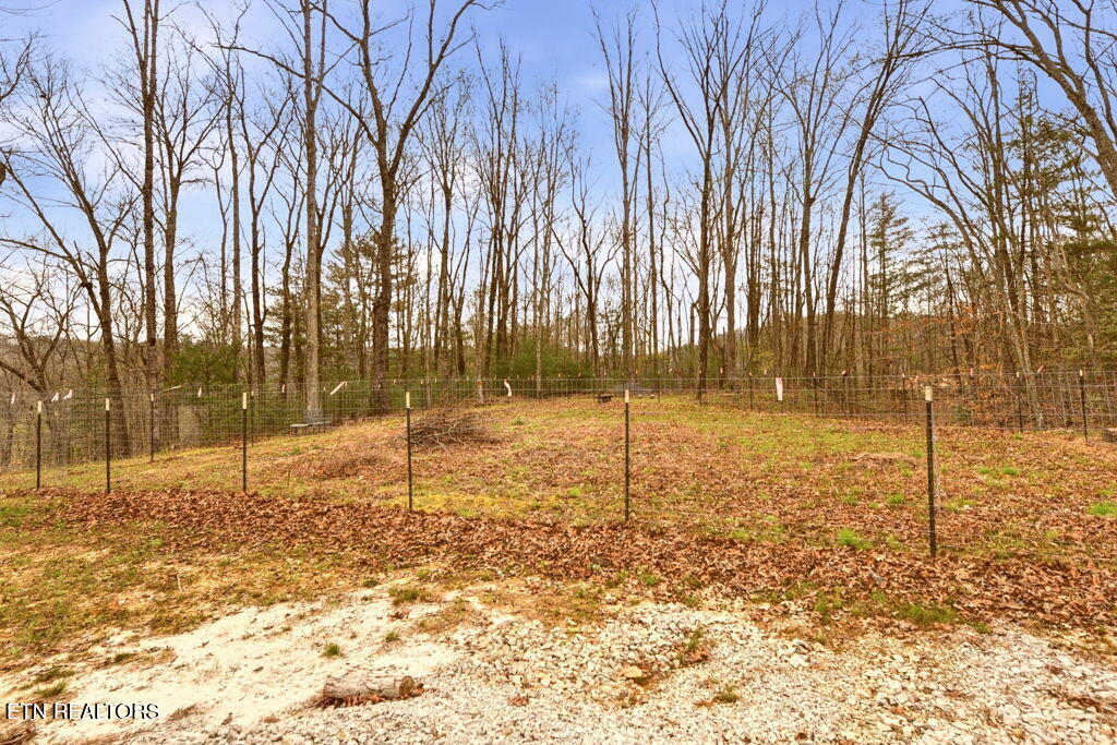 1159 Emory Heights Road Lancing, TN 37770 - Photo 43 of 59 side yard