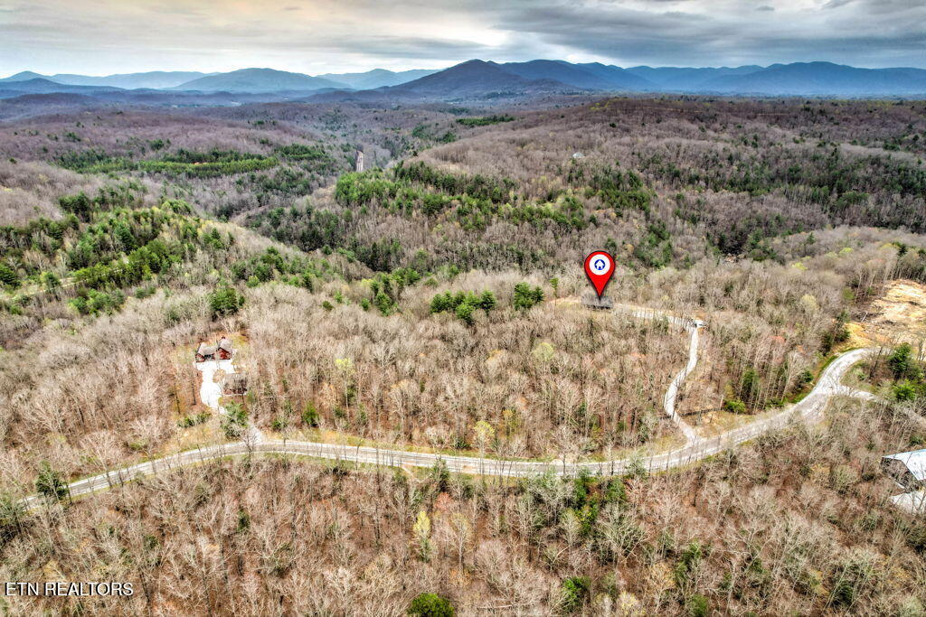 1159 Emory Heights Road Lancing, TN 37770 - Photo 45 of 59 ariel