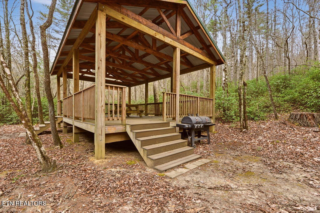 1159 Emory Heights Road Lancing, TN 37770 - Photo 51 of 59 pavilion