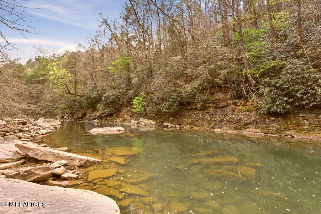 1159 Emory Heights Road Lancing, TN 37770 - Photo 53 of 59 Emory River
