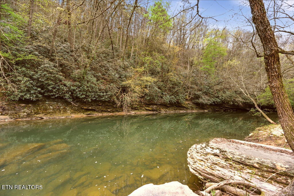 1159 Emory Heights Road Lancing, TN 37770 - Photo 54 of 59 River