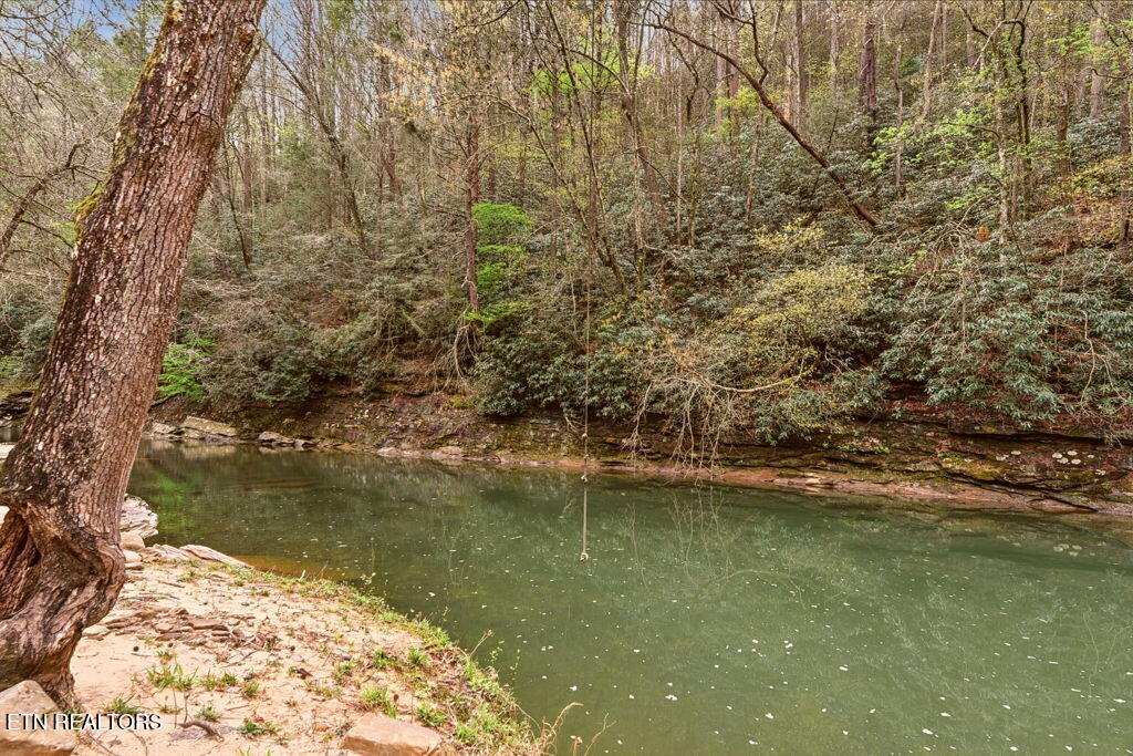 1159 Emory Heights Road Lancing, TN 37770 - Photo 55 of 59 River