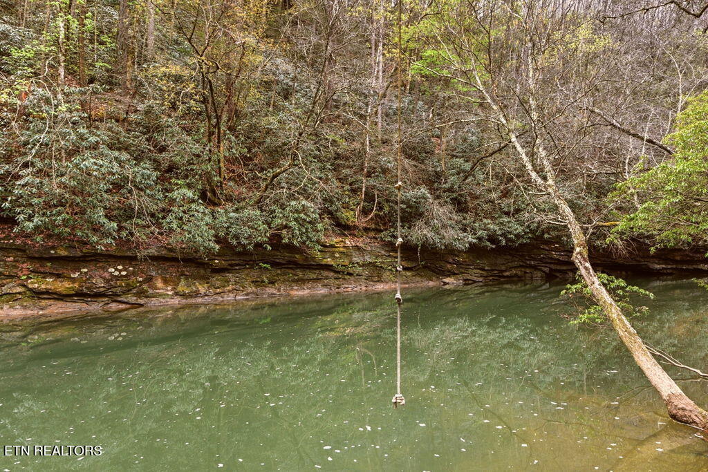 1159 Emory Heights Road Lancing, TN 37770 - Photo 56 of 59 Rope Swing