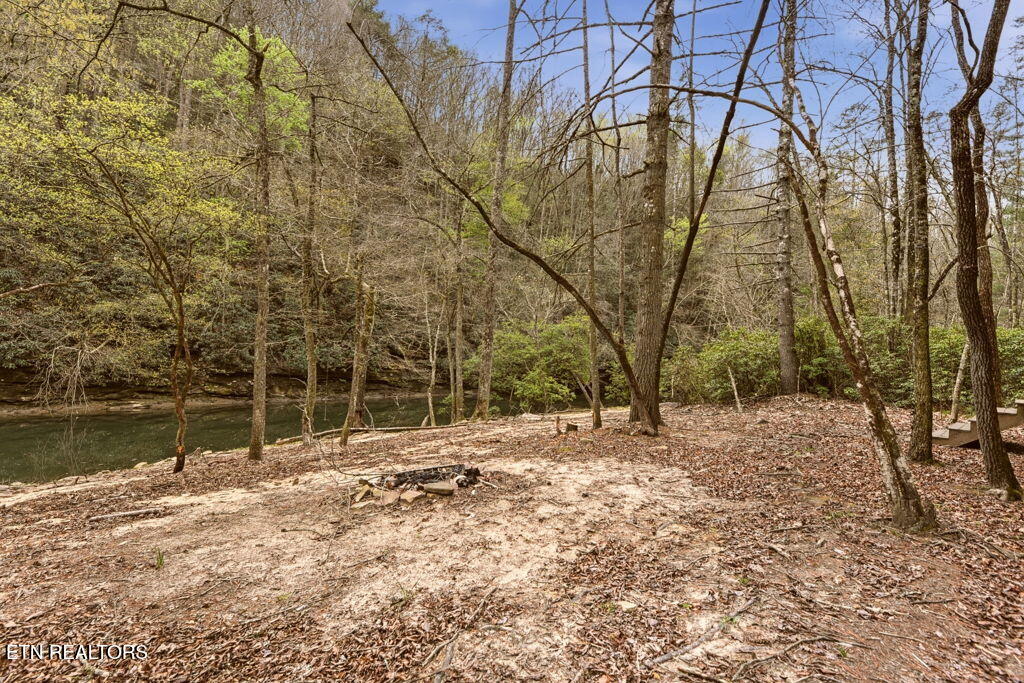 1159 Emory Heights Road Lancing, TN 37770 - Photo 57 of 59 beach