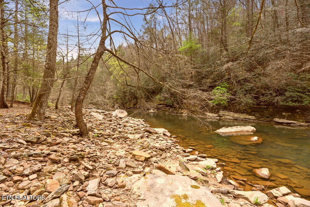 1159 Emory Heights Road Lancing, TN 37770 - Photo 58 of 59 61