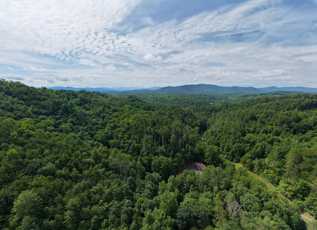 53 Will Scott Church Road Murphy, NC 28906 - Photo 40 of 43
