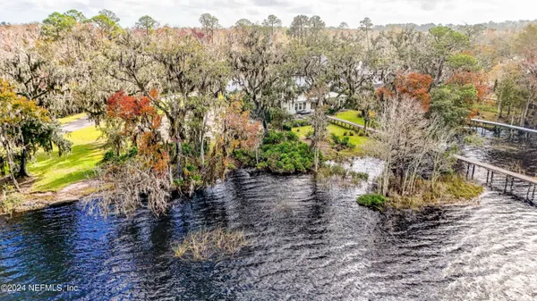 a view of a yard with plants and trees