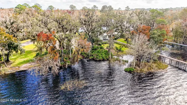 a view of a yard with plants and trees