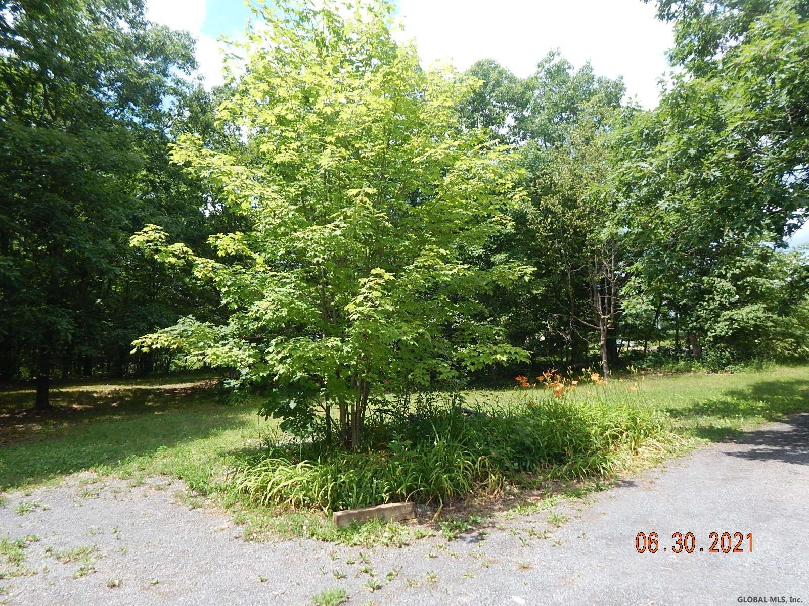 9 Lobdell Mill Road Westerlo, NY 12193 - Photo 24 of 28 Photo 24
