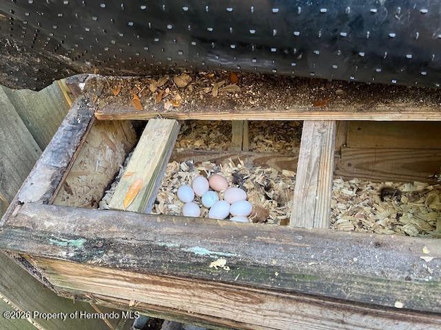 11340 Southwest 28th Way Webster, FL 33597 - Photo 31 of 38 Wow! Let's have eggs.
