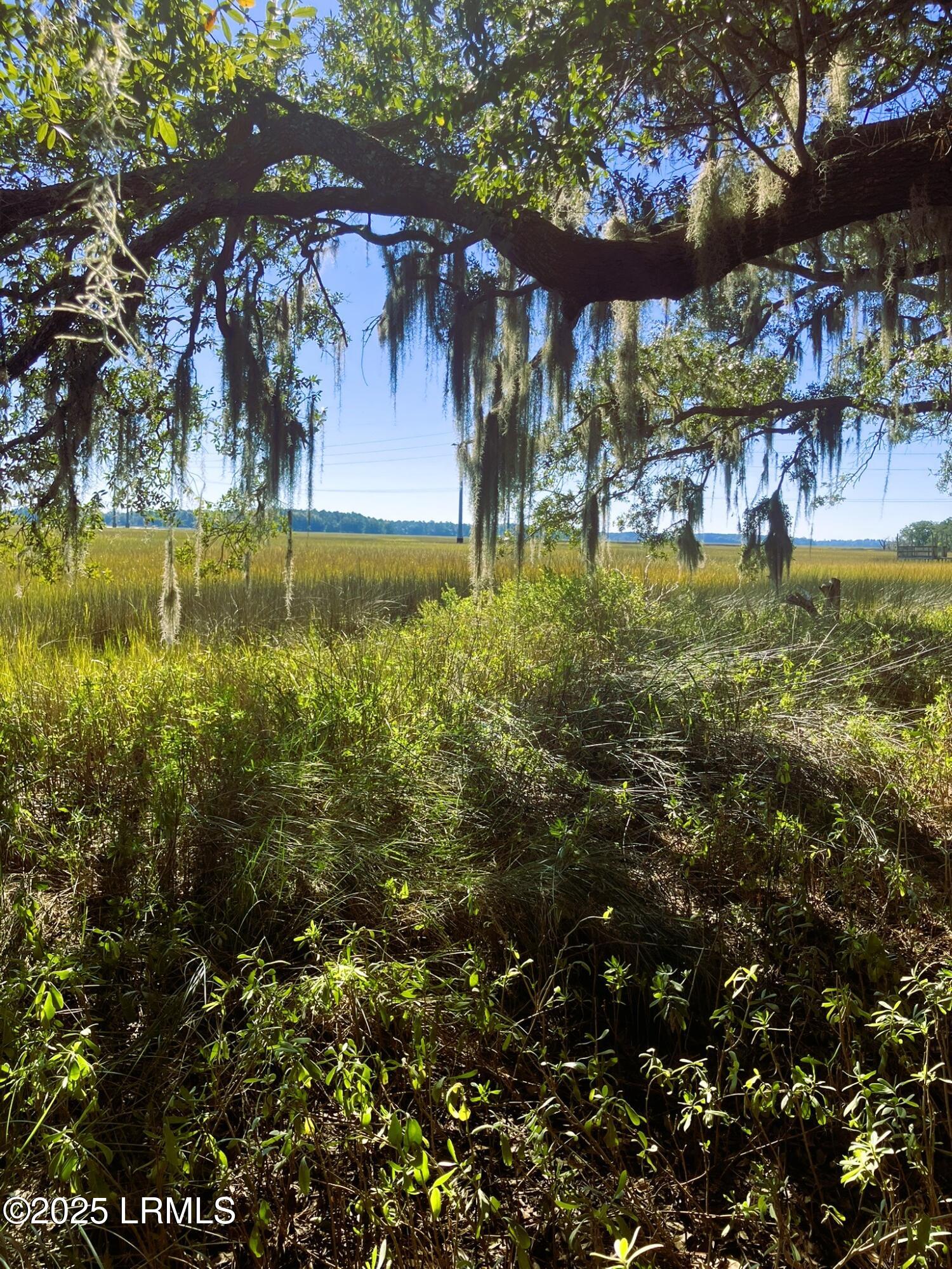 481 Paige Point Bluff Seabrook, SC 29940 - Photo 11 of 17 IMG_6856