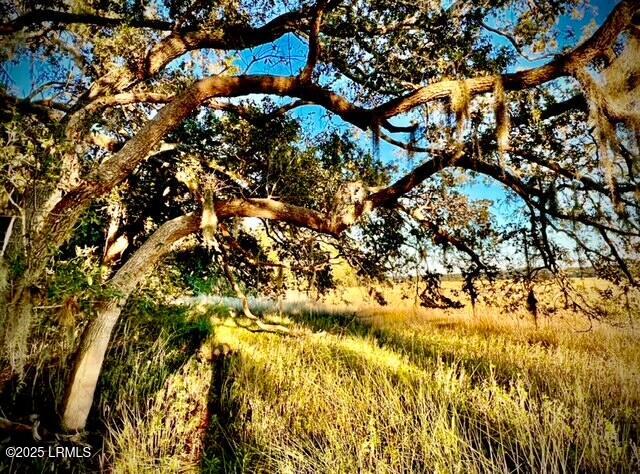 481 Paige Point Bluff Seabrook, SC 29940 - Photo 2 of 17 IMG_3346