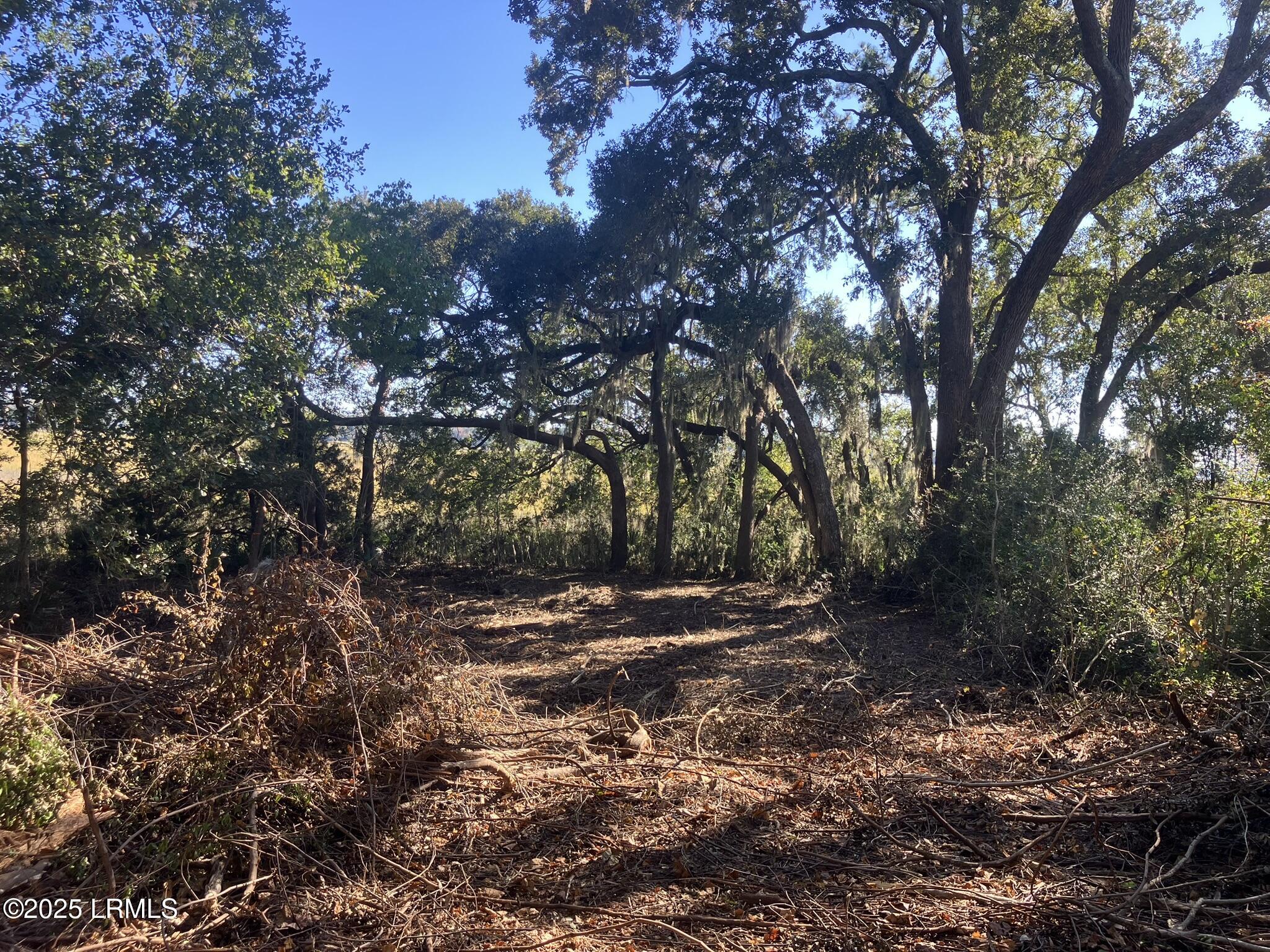 481 Paige Point Bluff Seabrook, SC 29940 - Photo 3 of 17 IMG_6866