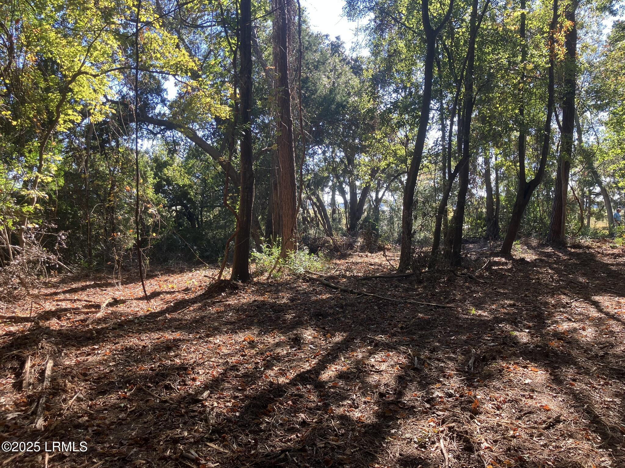 481 Paige Point Bluff Seabrook, SC 29940 - Photo 4 of 17 IMG_6876