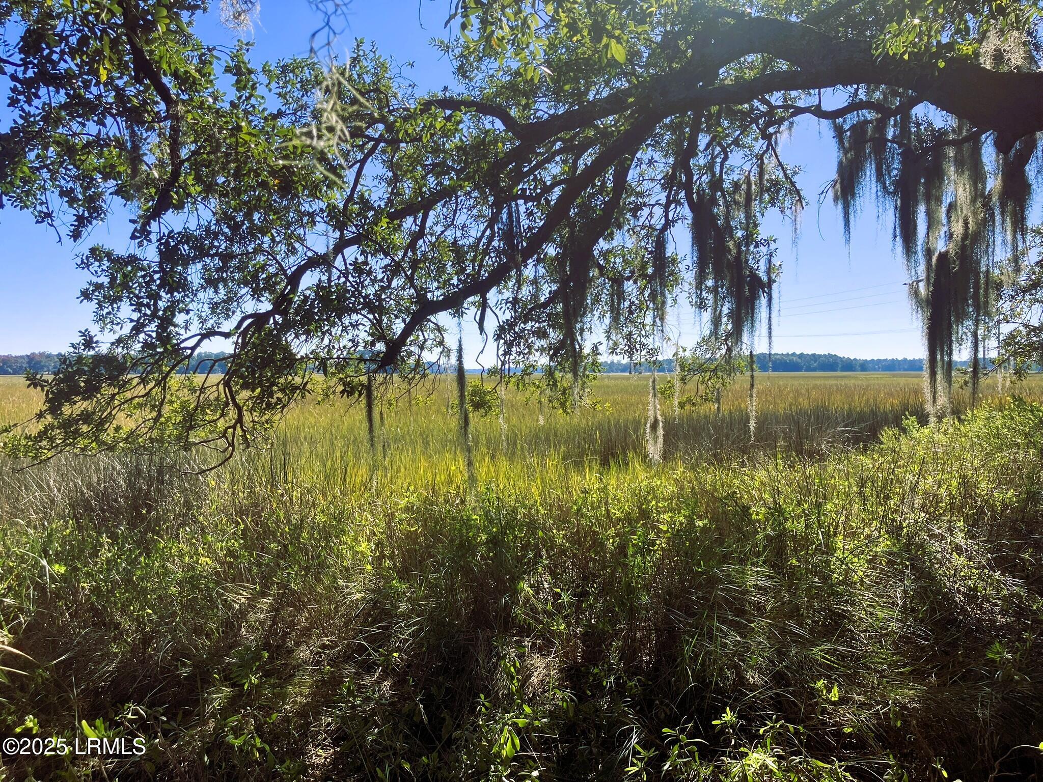 481 Paige Point Bluff Seabrook, SC 29940 - Photo 5 of 17 IMG_6858
