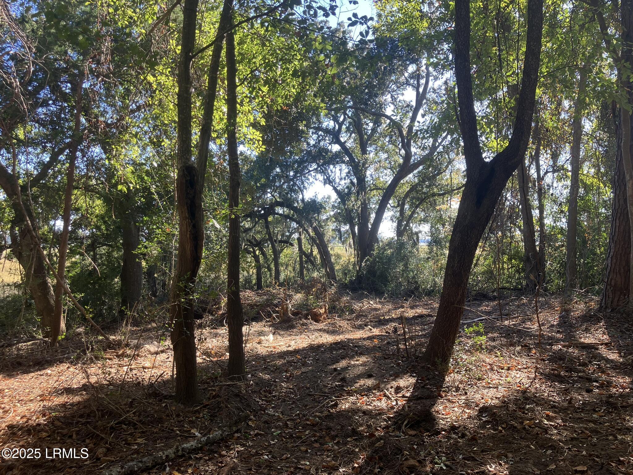 481 Paige Point Bluff Seabrook, SC 29940 - Photo 6 of 17 IMG_6873