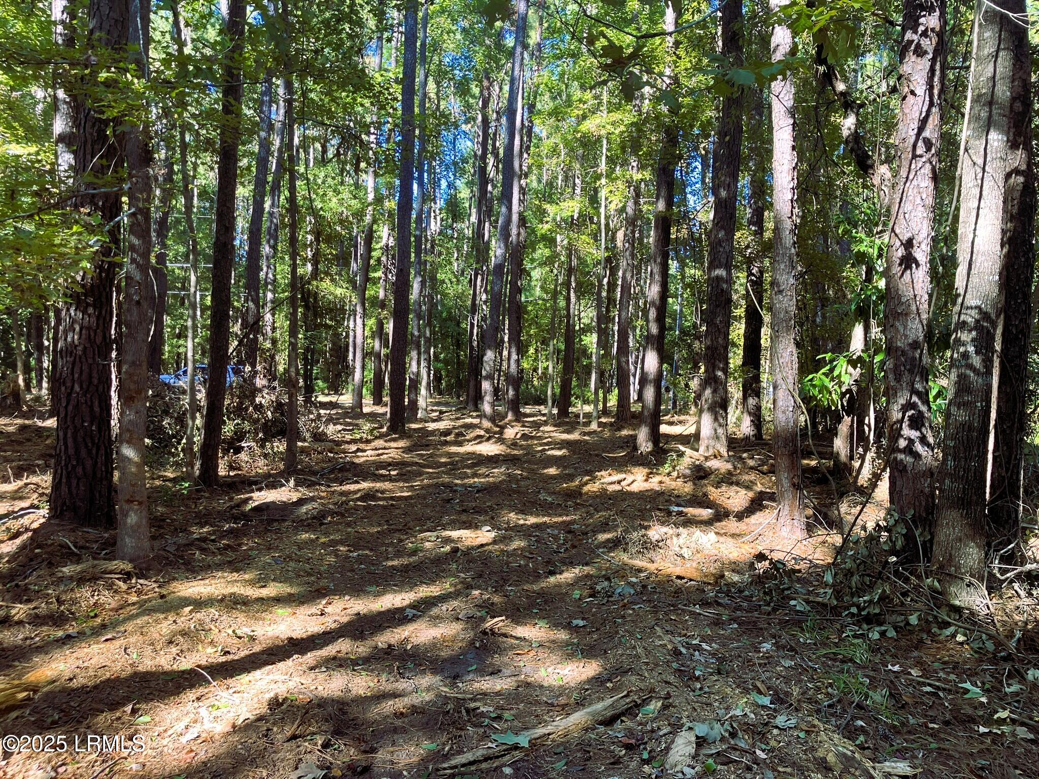 481 Paige Point Bluff Seabrook, SC 29940 - Photo 10 of 17 IMG_6853