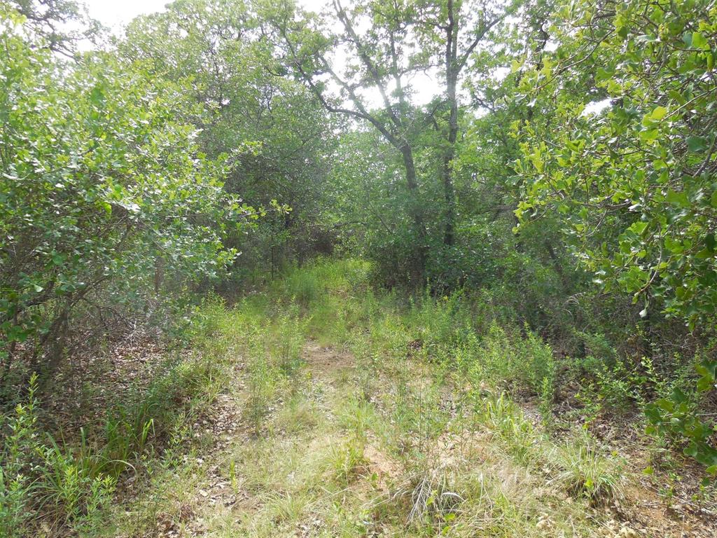 340 County Road 340 Ranger, TX 76470 - Photo 11 of 32