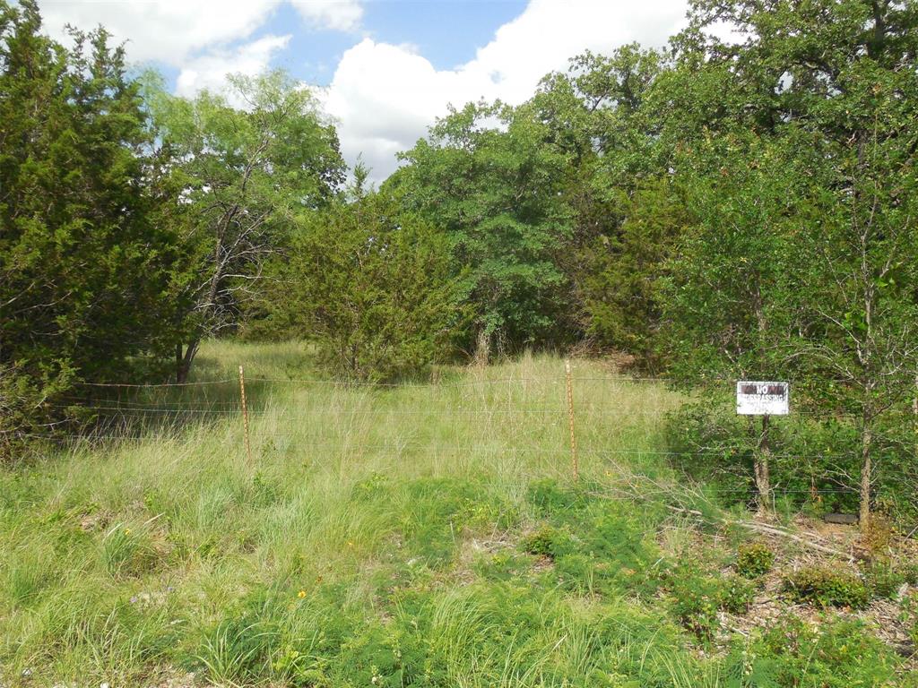 340 County Road 340 Ranger, TX 76470 - Photo 21 of 32 View of local wilderness