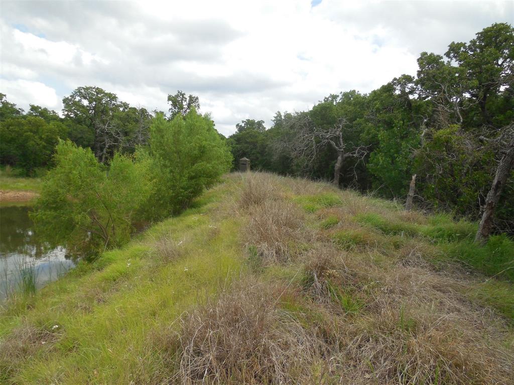340 County Road 340 Ranger, TX 76470 - Photo 24 of 32 View of woods