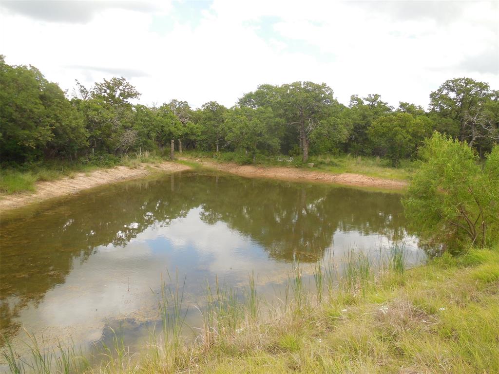 340 County Road 340 Ranger, TX 76470 - Photo 25 of 32 Water view featuring a heavily wooded area