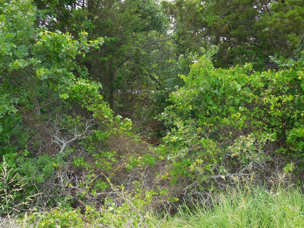 340 County Road 340 Ranger, TX 76470 - Photo 27 of 32 View of undeveloped land