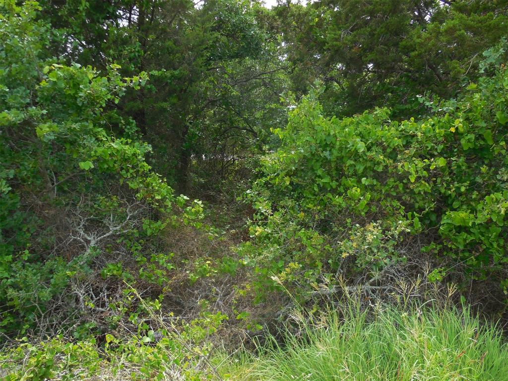 340 County Road 340 Ranger, TX 76470 - Photo 28 of 32 View of local wilderness
