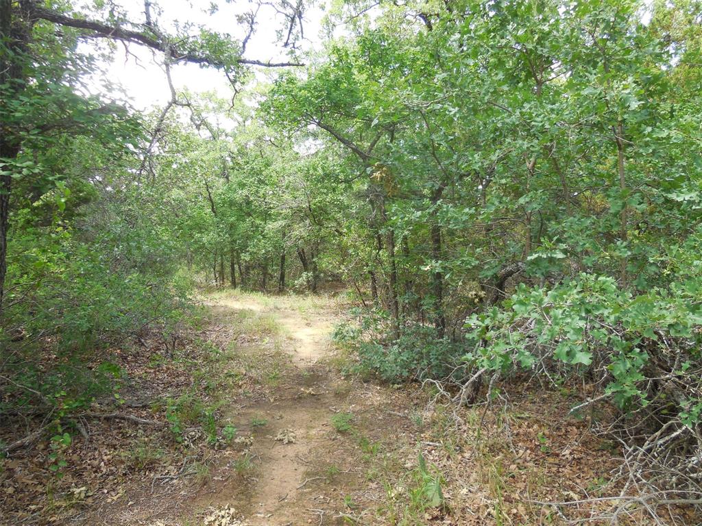 340 County Road 340 Ranger, TX 76470 - Photo 30 of 32 View of wooded area