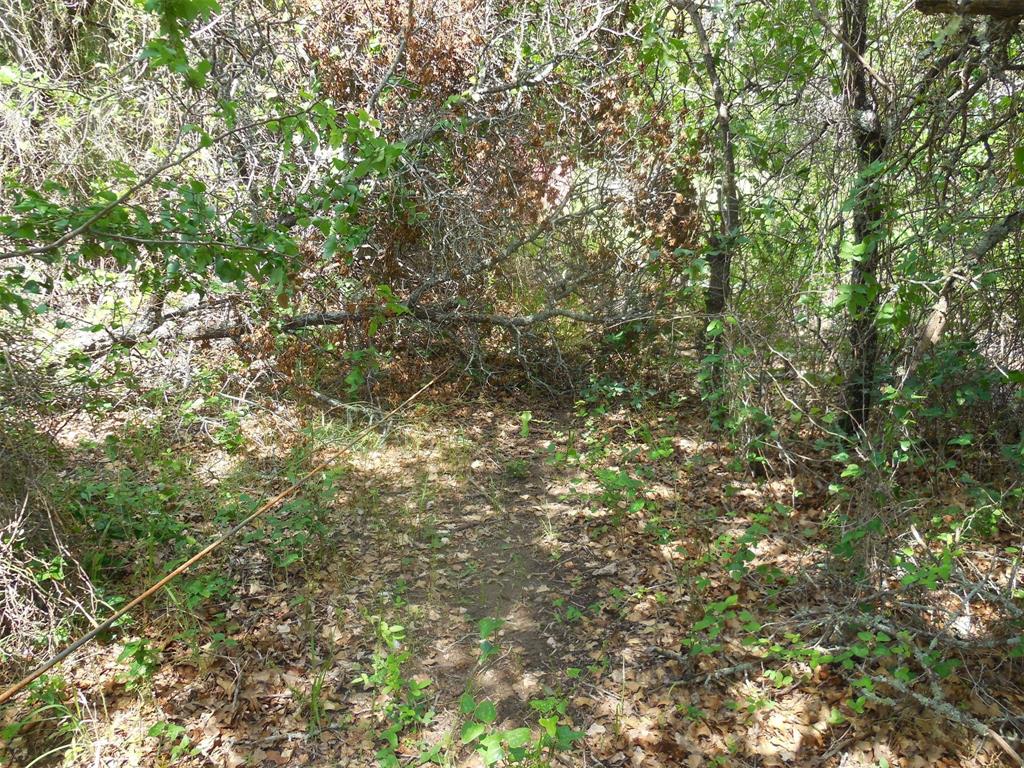 340 County Road 340 Ranger, TX 76470 - Photo 32 of 32 View of undeveloped land
