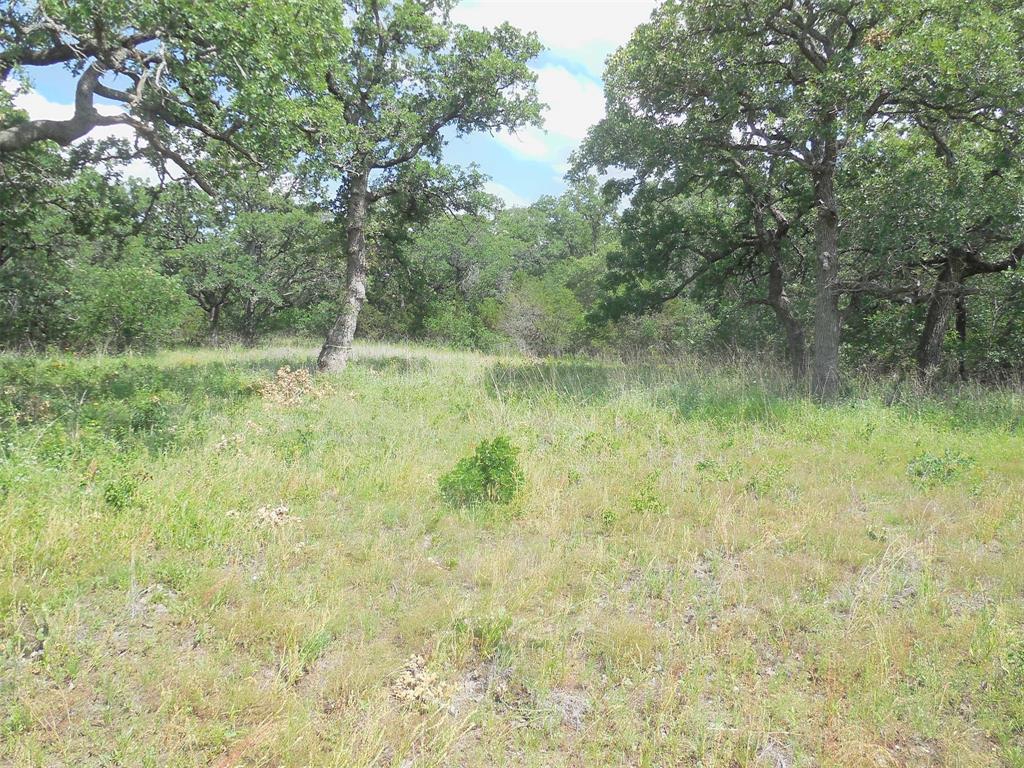 340 County Road 340 Ranger, TX 76470 - Photo 4 of 32 View of nature