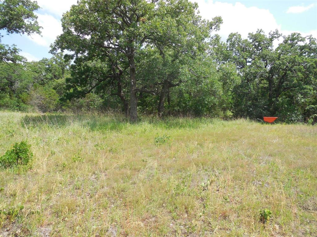 340 County Road 340 Ranger, TX 76470 - Photo 5 of 32 View of undeveloped land