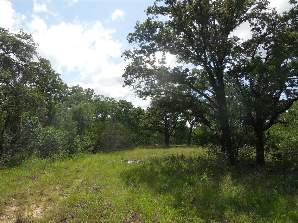 340 County Road 340 Ranger, TX 76470 - Photo 6 of 32 View of nature